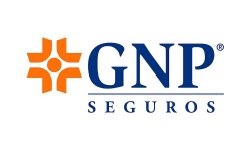 GNI Seguros de Auto