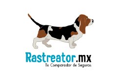 Cotizá y compará el Seguro de tu auto en Rastreator México